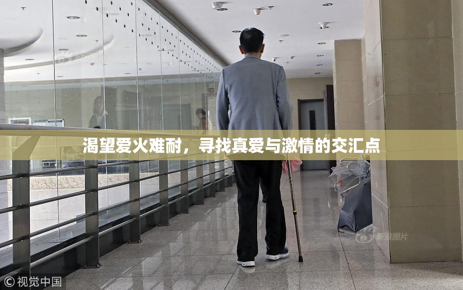 渴望爱火难耐，寻找真爱与激情的交汇点