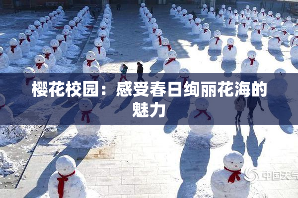 樱花校园：感受春日绚丽花海的魅力
