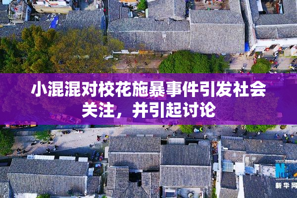 小混混对校花施暴事件引发社会关注，并引起讨论