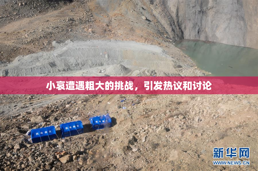 小哀遭遇粗大的挑战，引发热议和讨论
