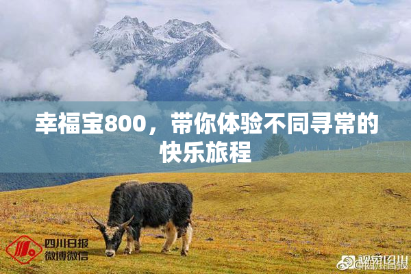 幸福宝800，带你体验不同寻常的快乐旅程