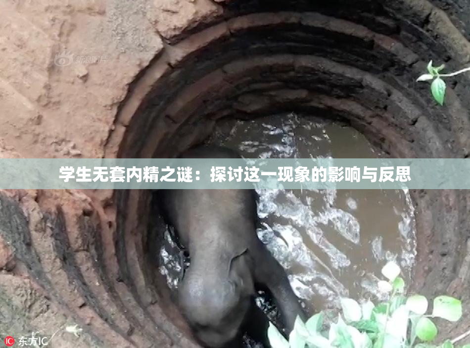 学生无套内精之谜：探讨这一现象的影响与反思