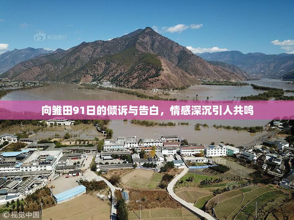 向雏田91日的倾诉与告白，情感深沉引人共鸣