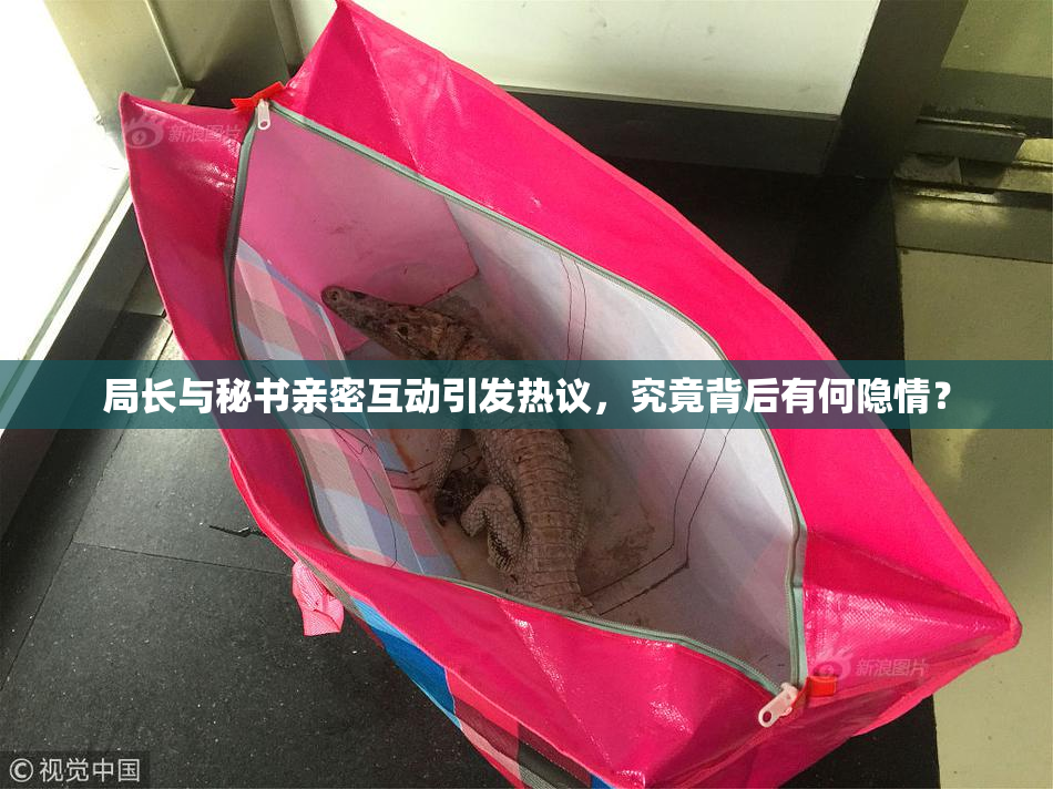 局长与秘书亲密互动引发热议，究竟背后有何隐情？