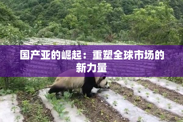 国产亚的崛起：重塑全球市场的新力量