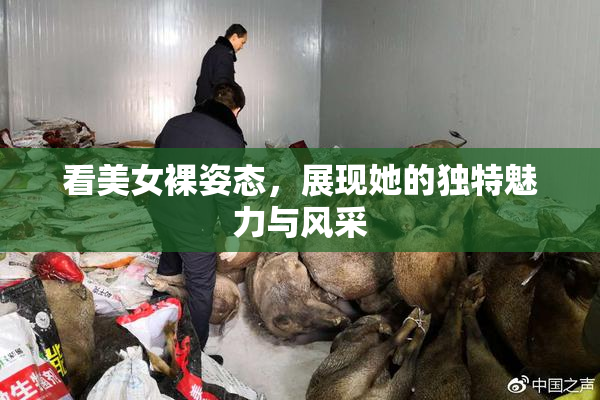 看美女裸姿态，展现她的独特魅力与风采