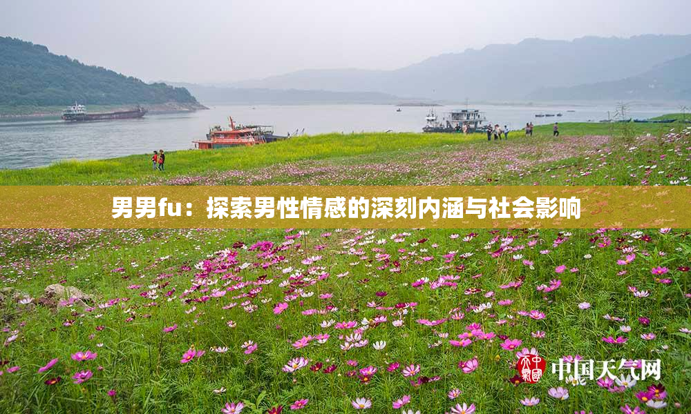 男男fu：探索男性情感的深刻内涵与社会影响