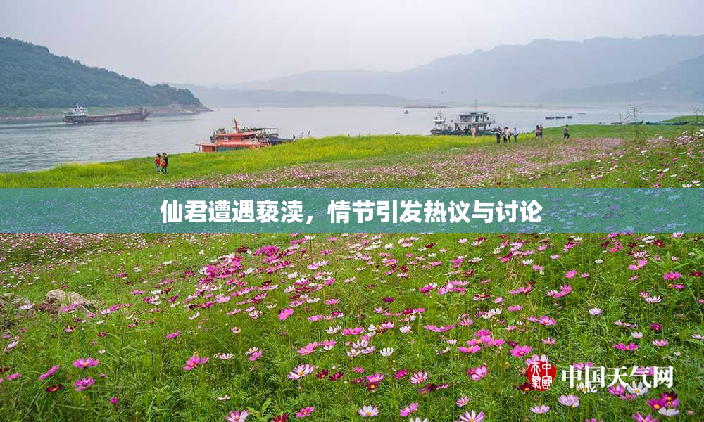仙君遭遇亵渎，情节引发热议与讨论