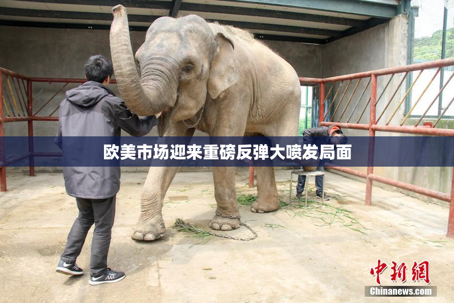 欧美市场迎来重磅反弹大喷发局面