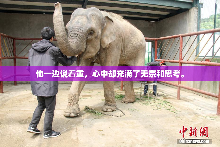 他一边说着重，心中却充满了无奈和思考。