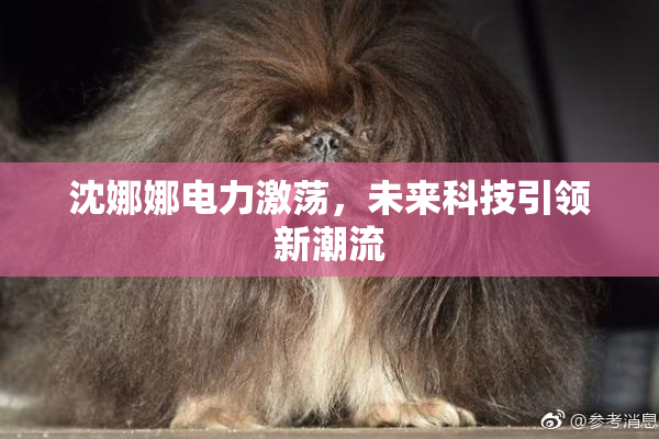 沈娜娜电力激荡，未来科技引领新潮流