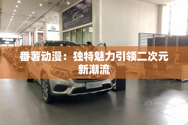 番薯动漫：独特魅力引领二次元新潮流