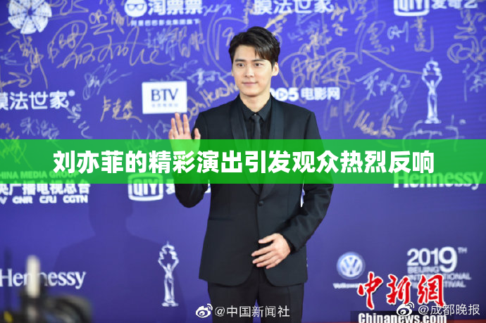 刘亦菲的精彩演出引发观众热烈反响
