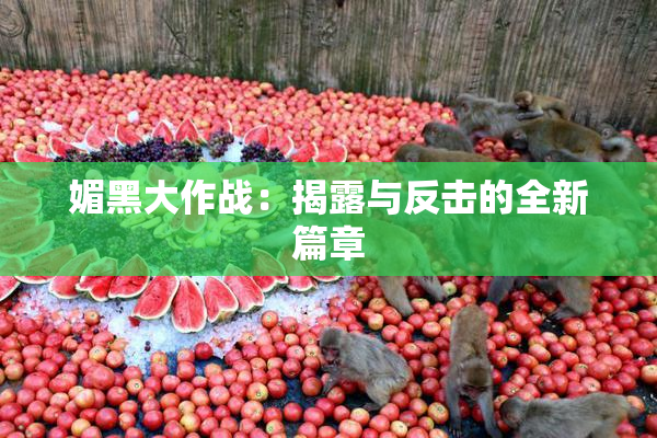 媚黑大作战：揭露与反击的全新篇章