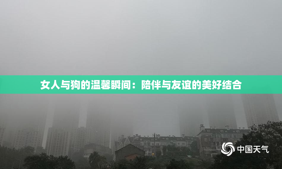 女人与狗的温馨瞬间：陪伴与友谊的美好结合