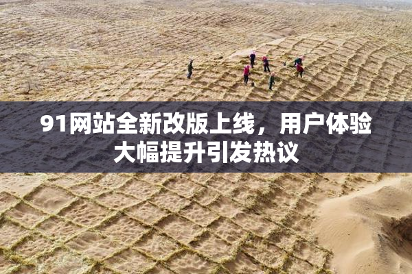 91网站全新改版上线，用户体验大幅提升引发热议