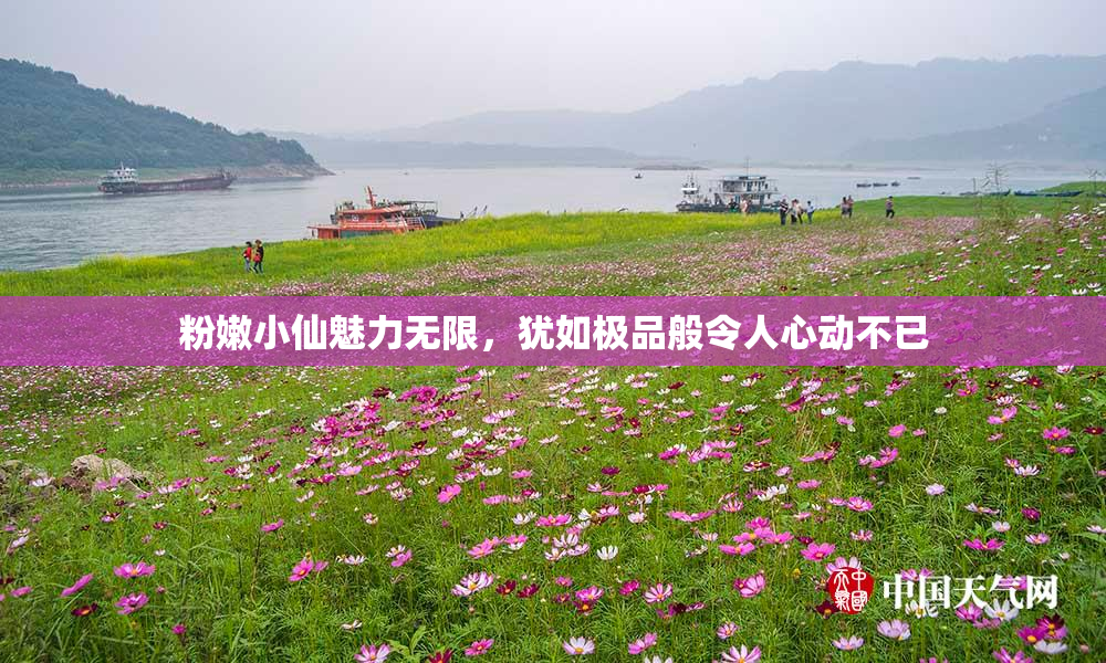 粉嫩小仙魅力无限，犹如极品般令人心动不已