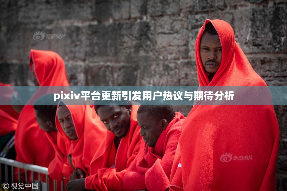 pixiv平台更新引发用户热议与期待分析
