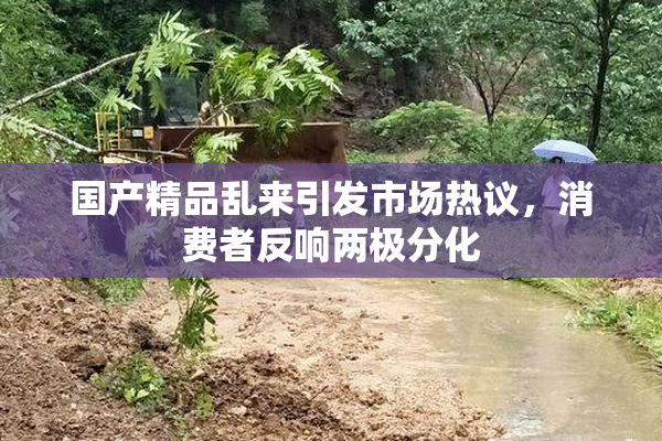国产精品乱来引发市场热议，消费者反响两极分化