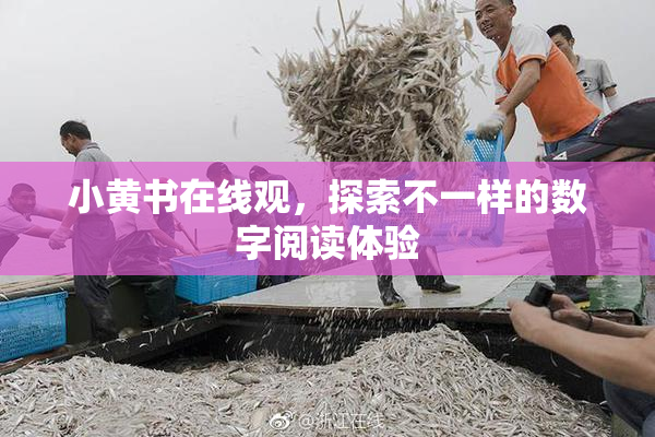 小黄书在线观，探索不一样的数字阅读体验
