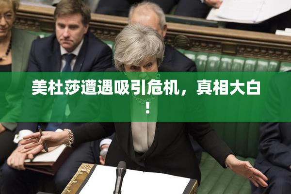 美杜莎遭遇吸引危机，真相大白！