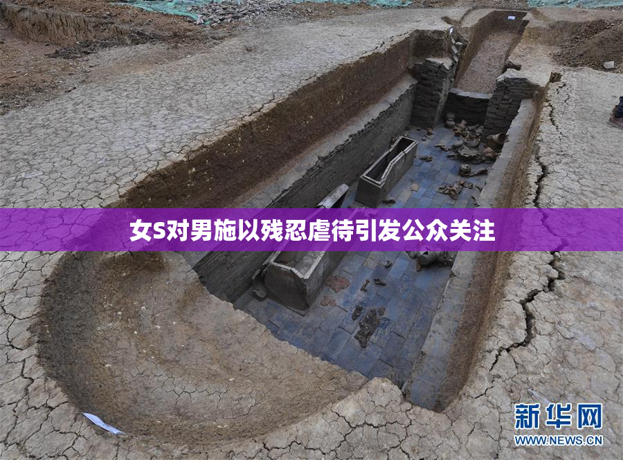 女S对男施以残忍虐待引发公众关注