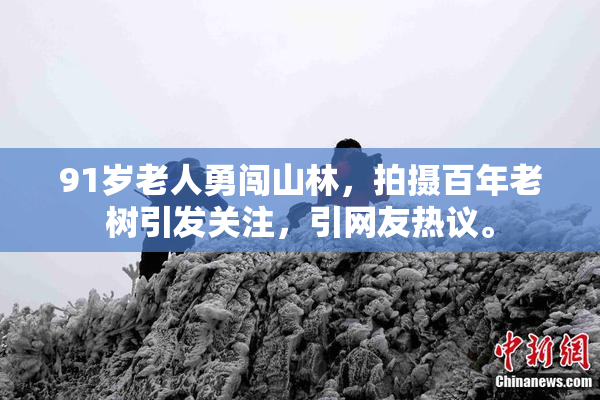 91岁老人勇闯山林，拍摄百年老树引发关注，引网友热议。