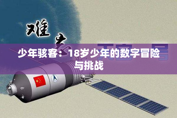 少年骇客：18岁少年的数字冒险与挑战