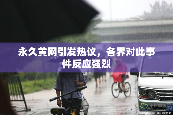 永久黄网引发热议，各界对此事件反应强烈
