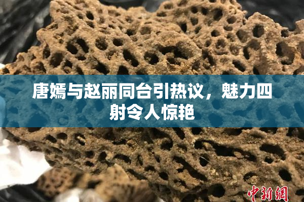 唐嫣与赵丽同台引热议，魅力四射令人惊艳