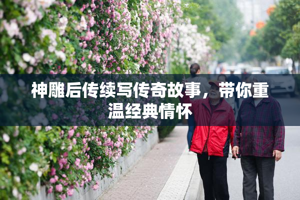 神雕后传续写传奇故事，带你重温经典情怀
