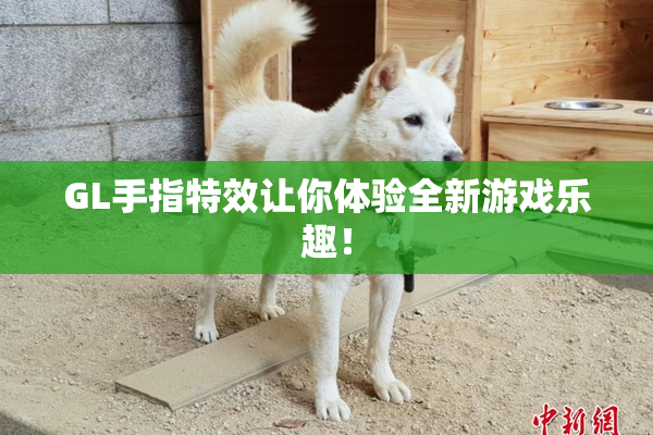 GL手指特效让你体验全新游戏乐趣！