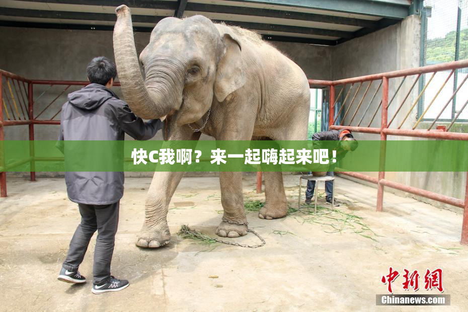 快C我啊？来一起嗨起来吧！