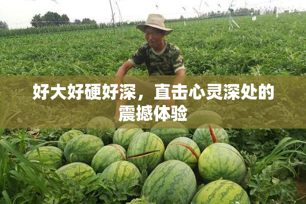 好大好硬好深，直击心灵深处的震撼体验