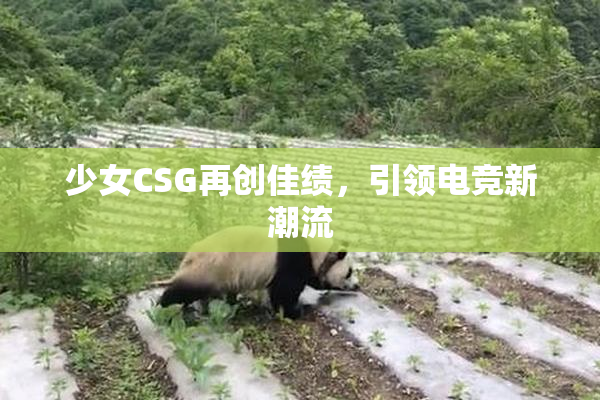 少女CSG再创佳绩，引领电竞新潮流