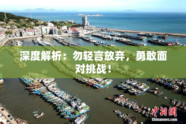 深度解析：勿轻言放弃，勇敢面对挑战！