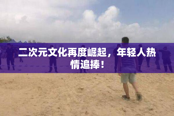 二次元文化再度崛起，年轻人热情追捧！