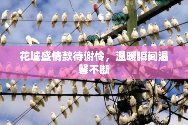花城盛情款待谢怜，温暖瞬间温馨不断