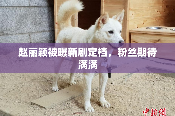 赵丽颖被曝新剧定档，粉丝期待满满