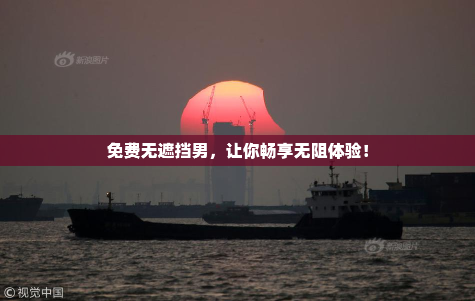 免费无遮挡男，让你畅享无阻体验！