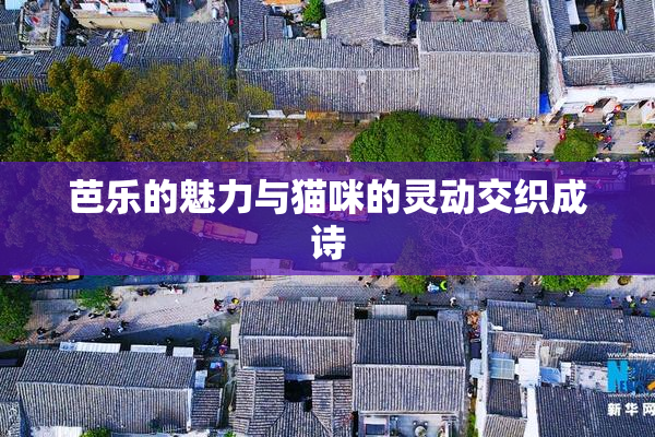 芭乐的魅力与猫咪的灵动交织成诗