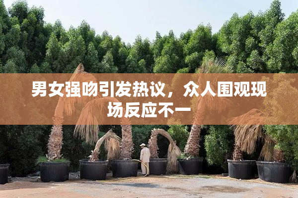 男女强吻引发热议，众人围观现场反应不一