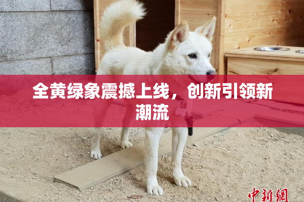 全黄绿象震撼上线，创新引领新潮流