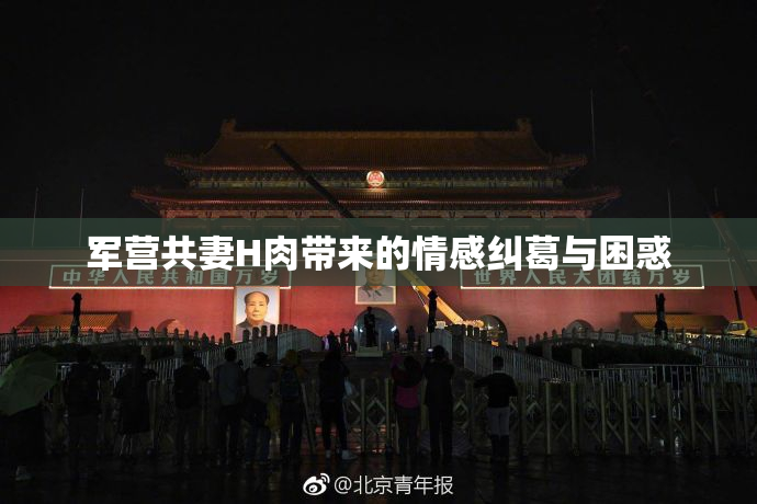 军营共妻H肉带来的情感纠葛与困惑