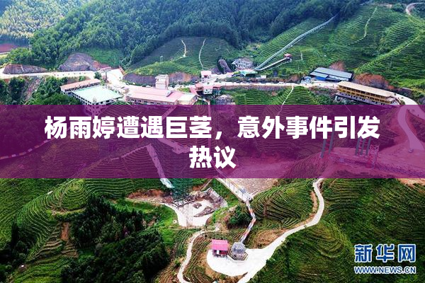 杨雨婷遭遇巨茎，意外事件引发热议