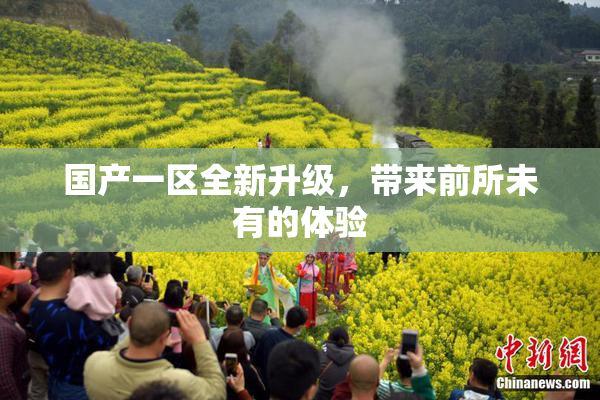 国产一区全新升级，带来前所未有的体验