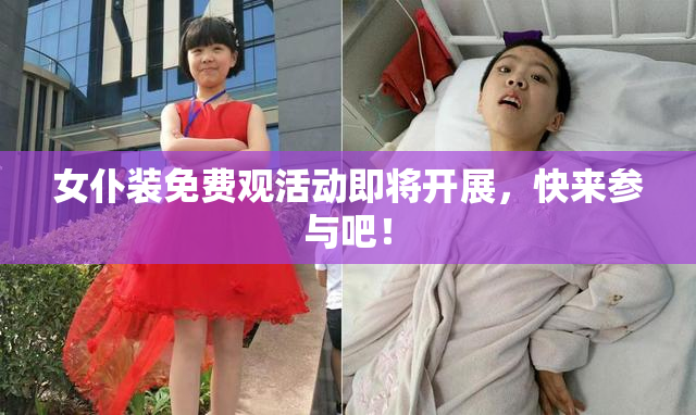 女仆装免费观活动即将开展，快来参与吧！