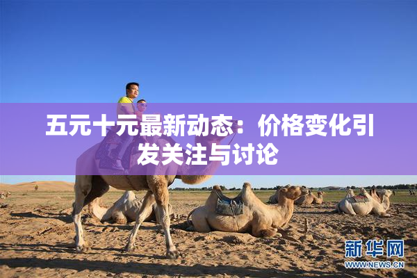 五元十元最新动态：价格变化引发关注与讨论