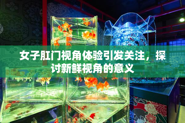 女子肛门视角体验引发关注，探讨新鲜视角的意义