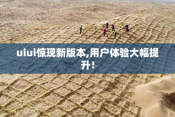 uiui惊现新版本,用户体验大幅提升！